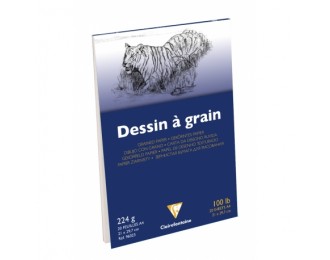 Bloc dessin grain fin 20F 224g